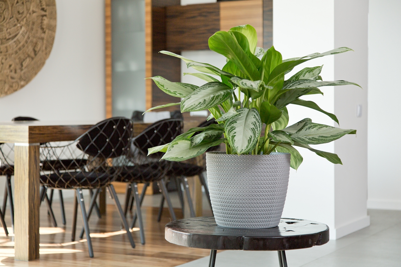 Plastový květináč Magnolia Jersey 190 mm, šedý