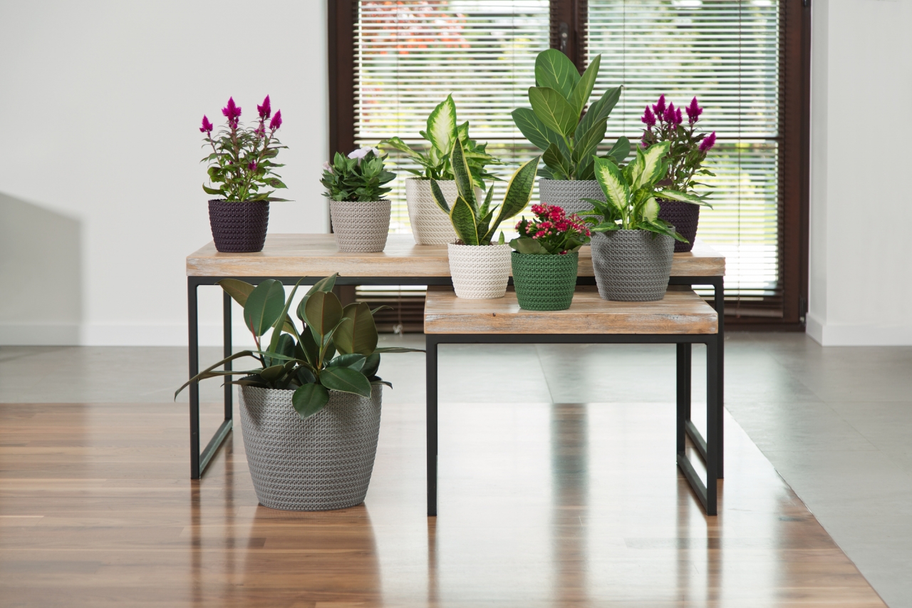 Plastový květináč Magnolia Jersey 220 mm, antracit