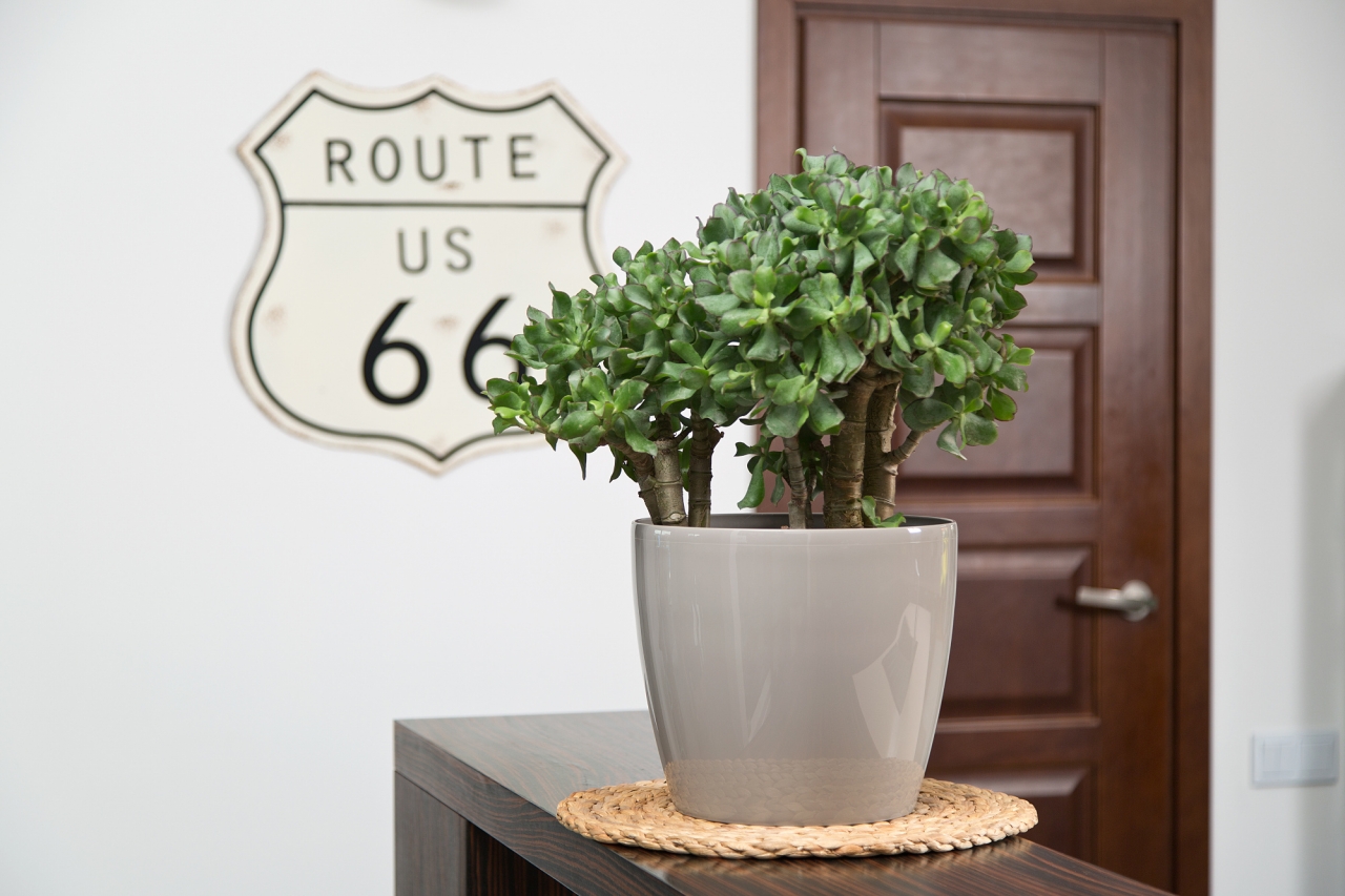 Plastový květináč Magnolia 360 mm, taupe