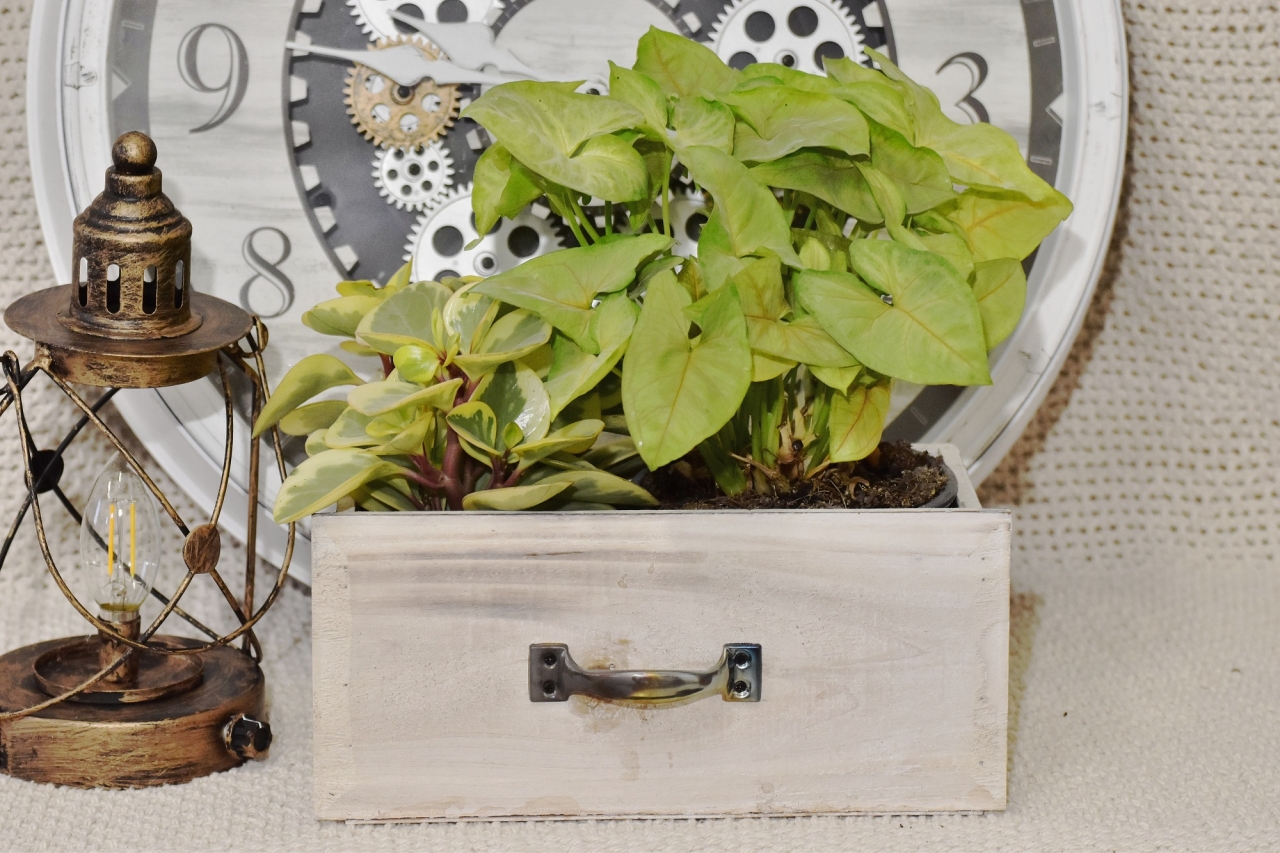 Dřevěný květináč zásuvka 13,2x29x14 cm, přírodní