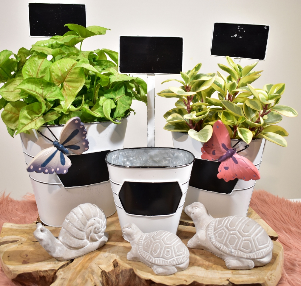 Oválný plechový květináč s popisovací cedulkou, sada 3 ks