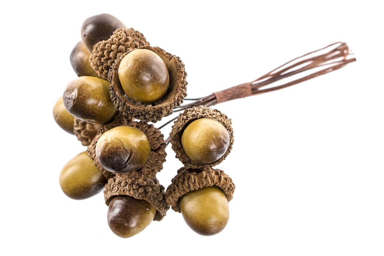 Zelený žalud zápich svazek 10 ks