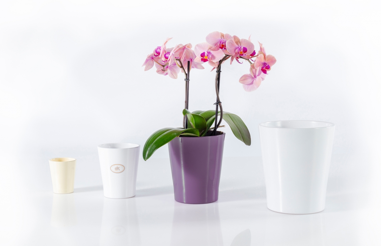 Keramický květináč na orchideje Merina Classic 18x16 cm bílý lesklý