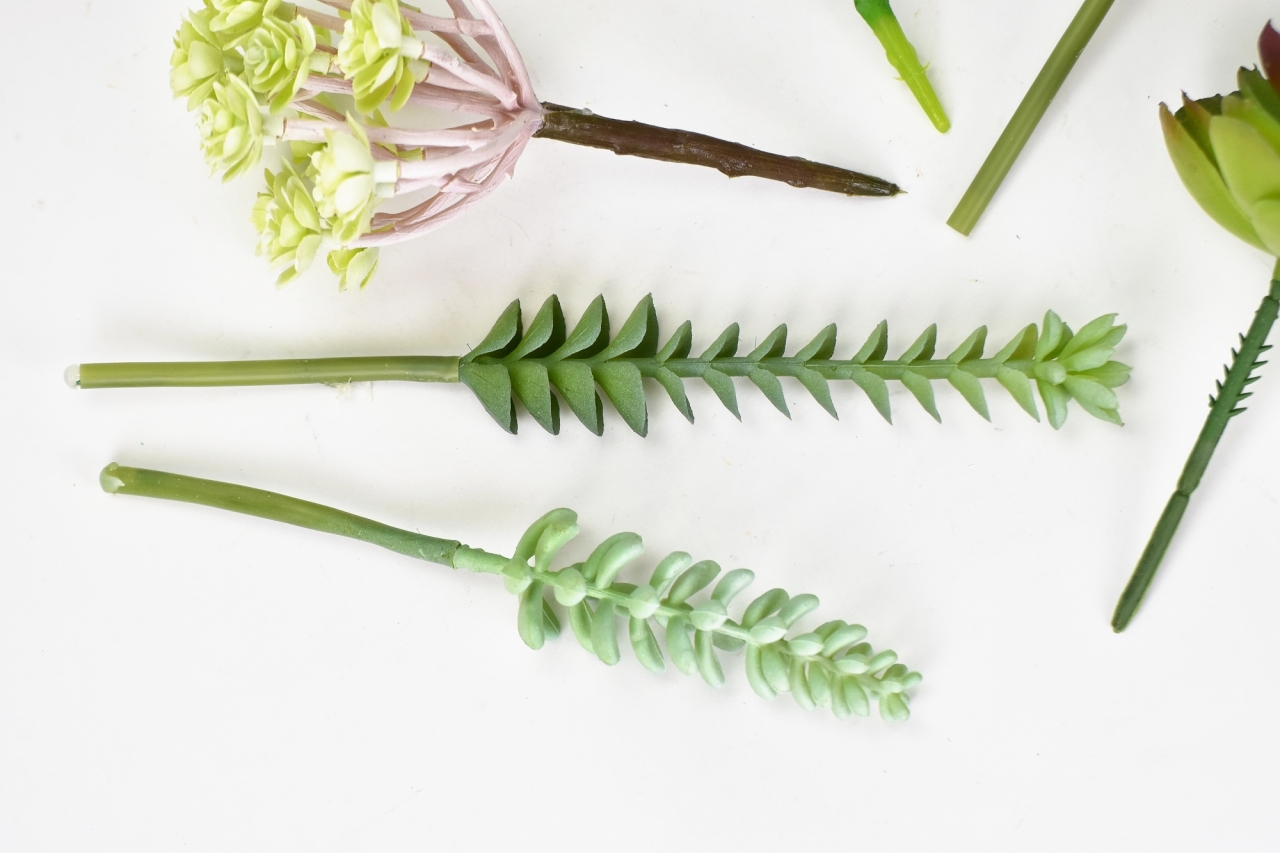 Mix sukulentů Molly, sada 6 ks