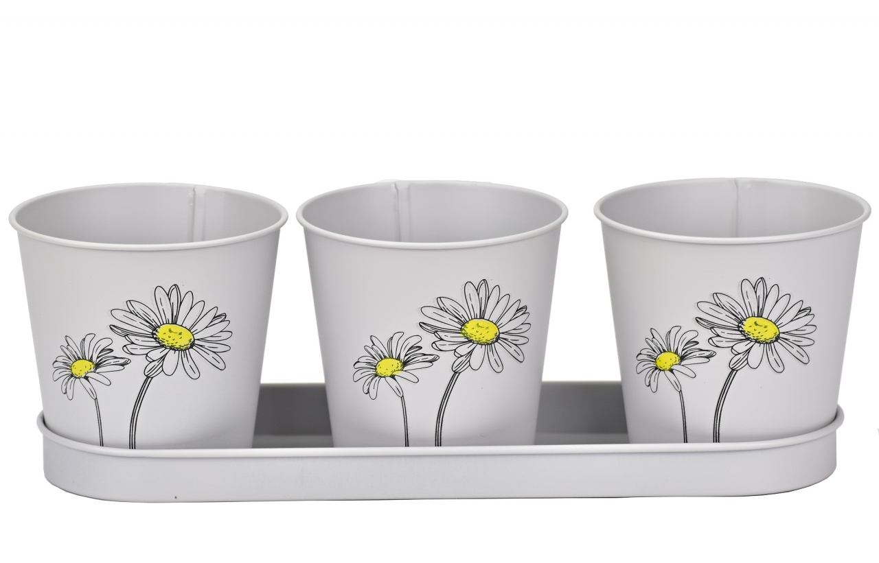 Plechový květináč šedý s kopretinou, sada 3 ks květináčků na tácku