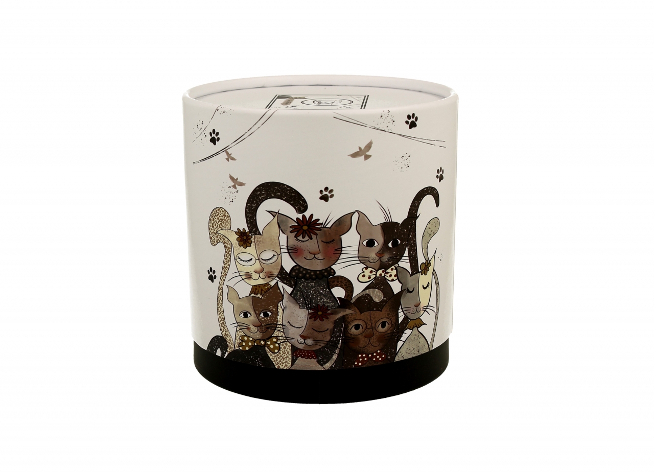Porcelánový hrnek byliňák Cats Family 360 ml v papírové dóze