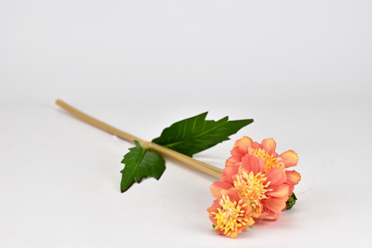 Jiřina lososová 45 cm