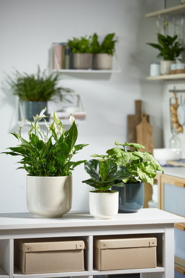 Keramický květináč Bari 19 cm hnědý