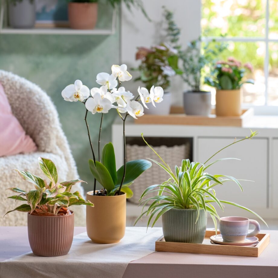 Keramický květináč Belice 24 cm světle šedý