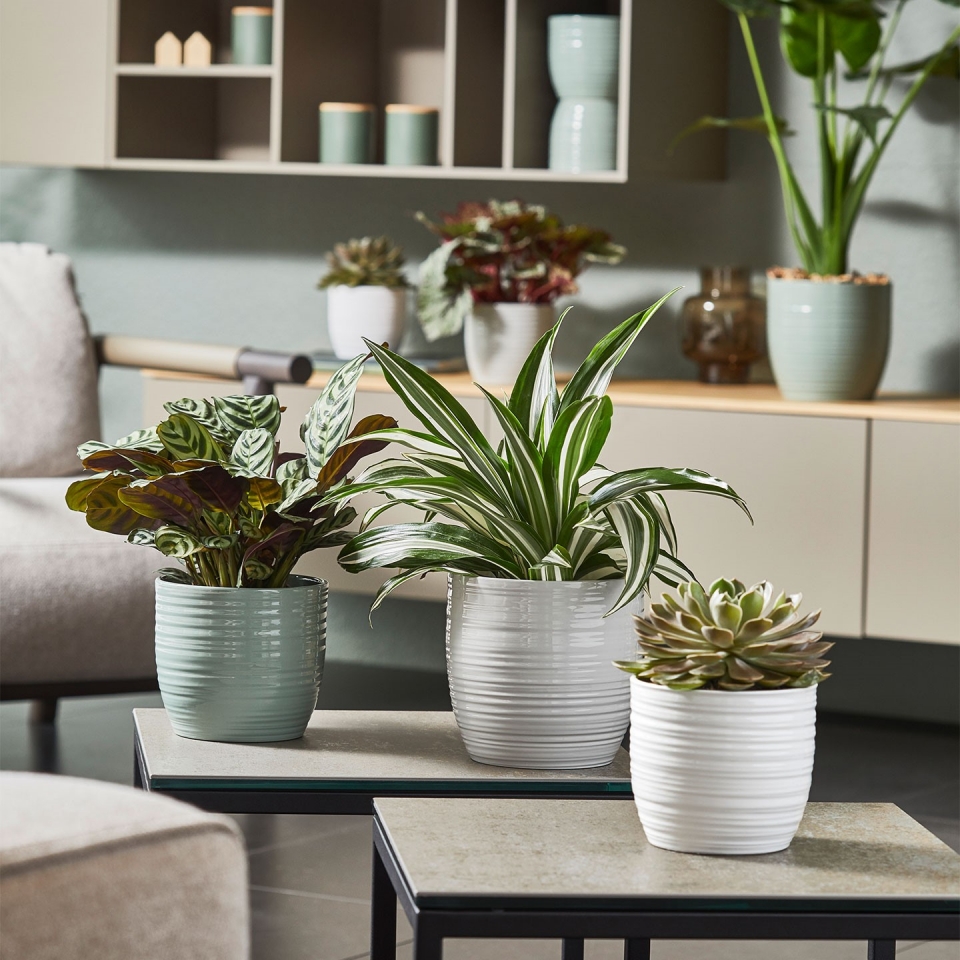 Keramický květináč Bergamo lesklý 24 cm mátový