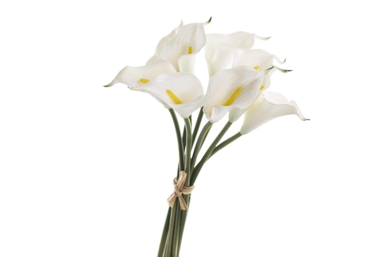 Umělá kytice Kala 37 cm, bílá