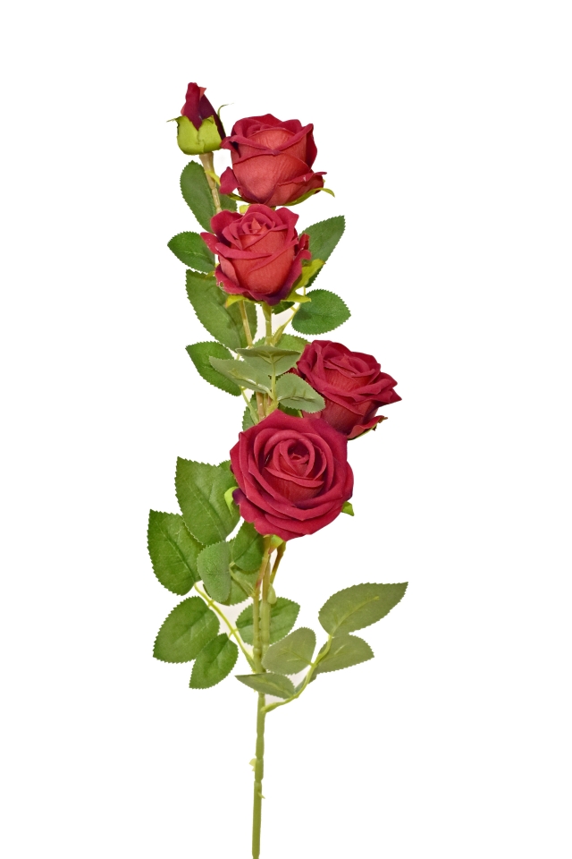 Růže červená 83 cm, sametová