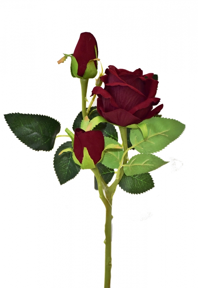 Růže bordó 37 cm