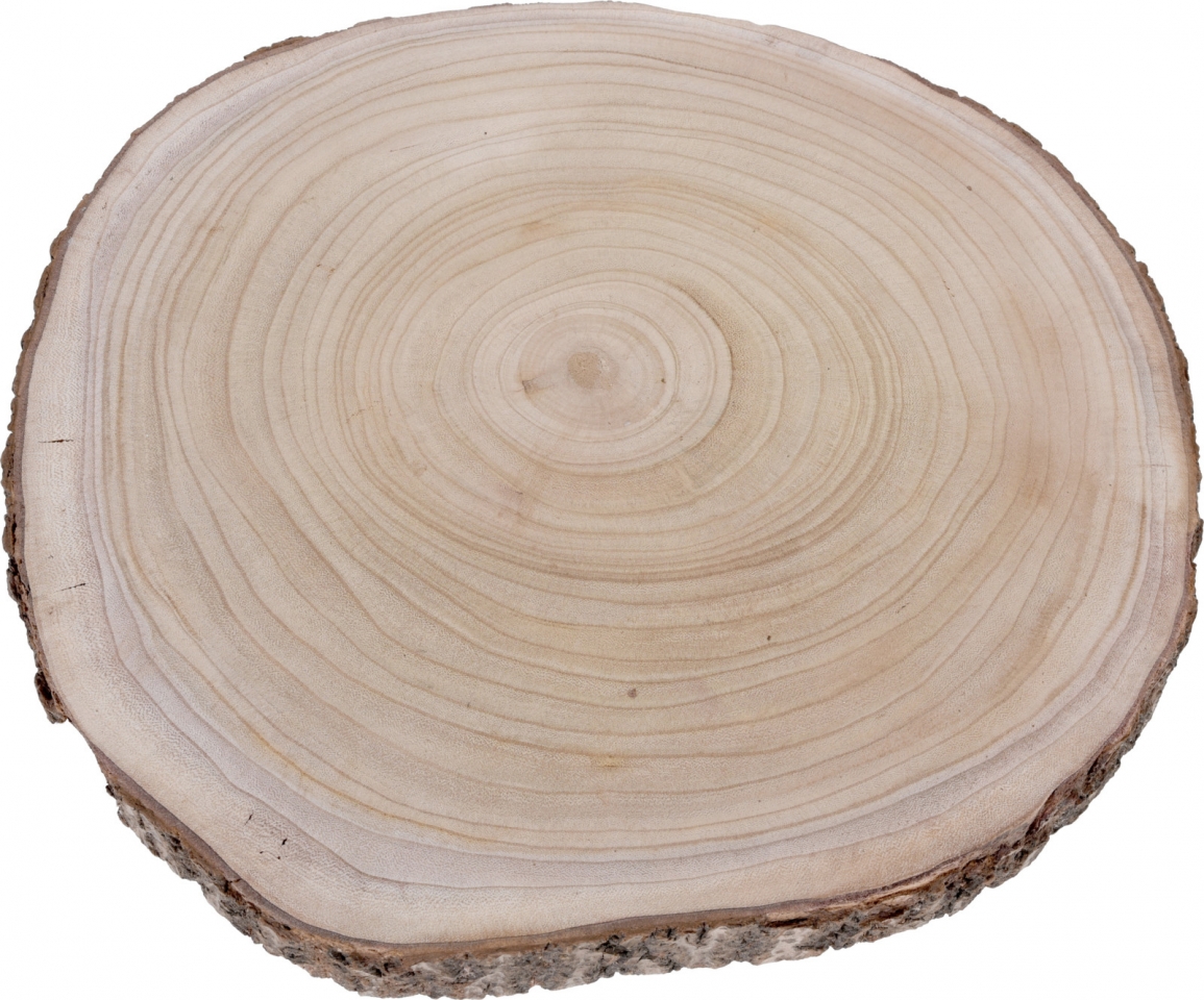 Dřevěná podložka Paulownia 50x4,5 cm