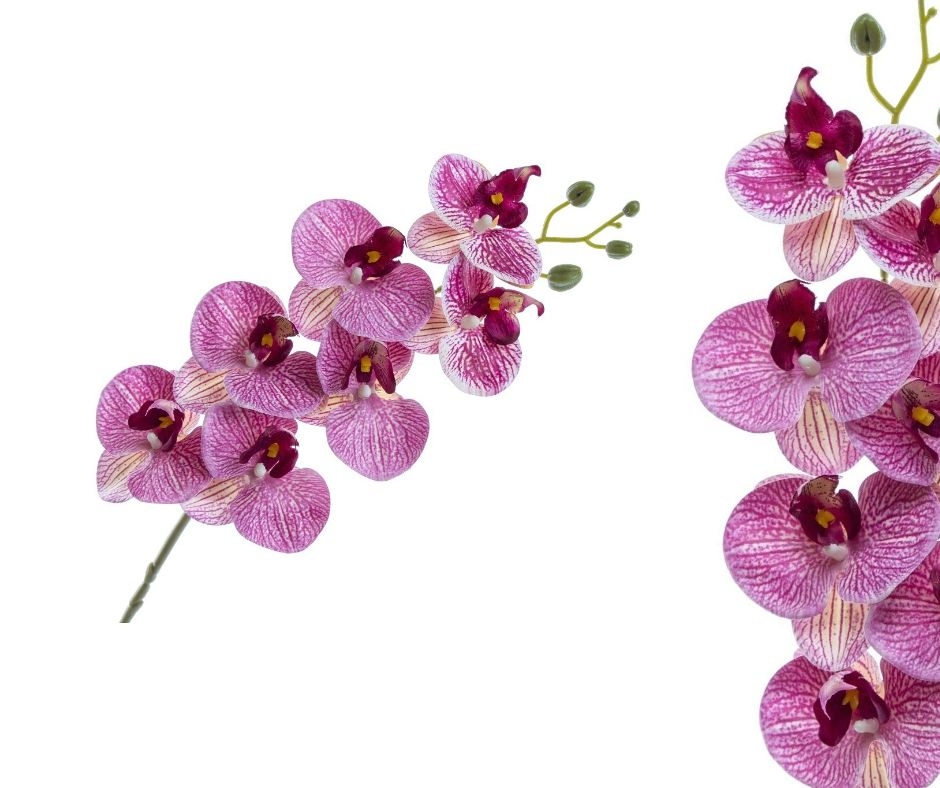 Orchidej Phalaenopsis 77 cm, fialový