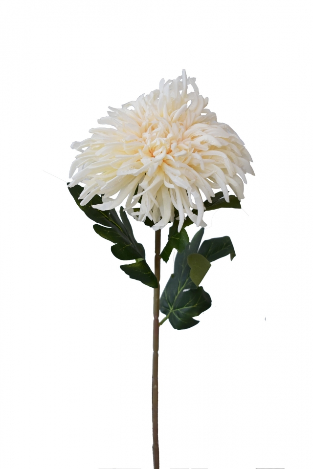 Umělá chryzantéma krémová 70 cm