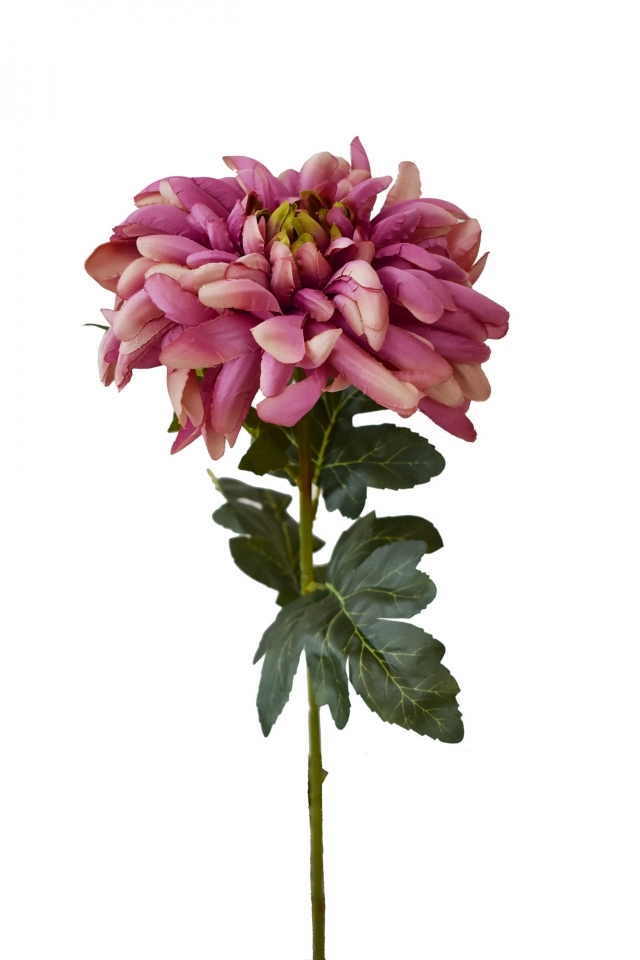 Umělá chryzantéma světle růžová 70 cm