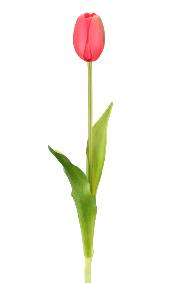Tulipán růžový 39 cm