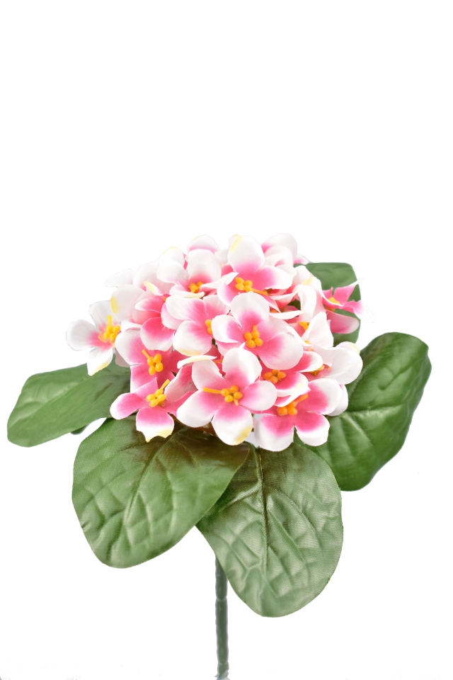 Kytička fialek 21,5 cm, růžová