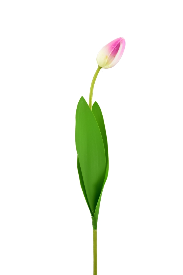 Tulipán světle fialový 46 cm poupě