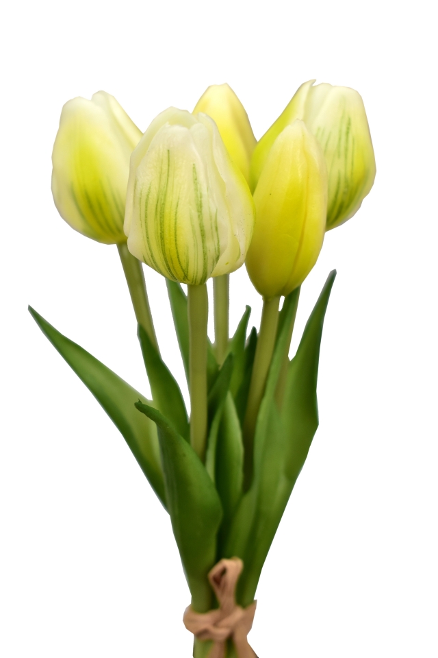 Kytice 5 tulipánů bílá 21,5 cm