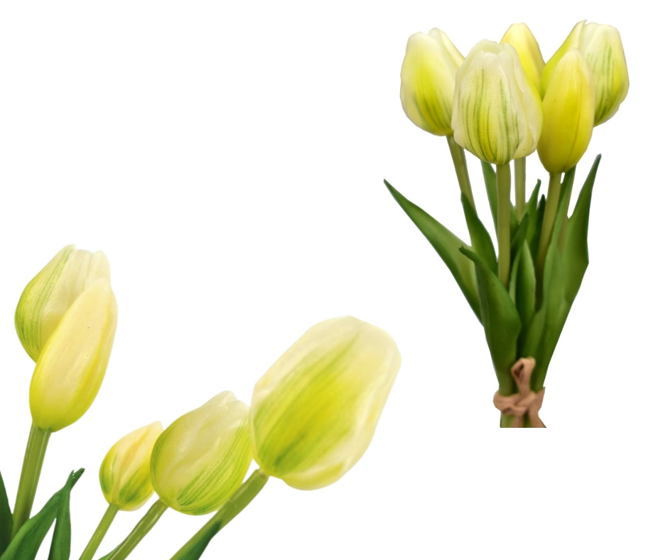 Kytice 5 tulipánů bílá 21,5 cm
