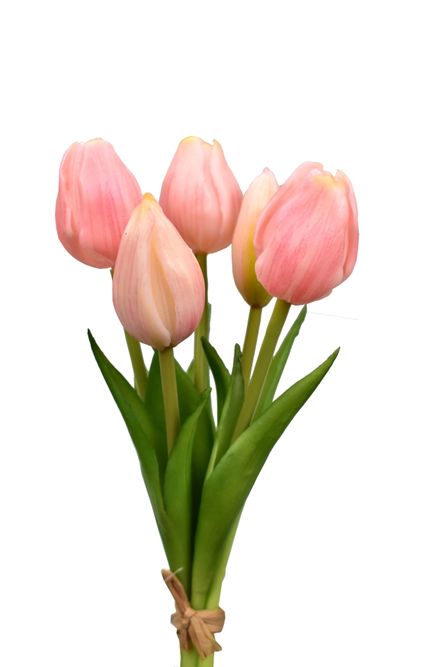 Kytice 5 tulipánů růžová 21,5 cm