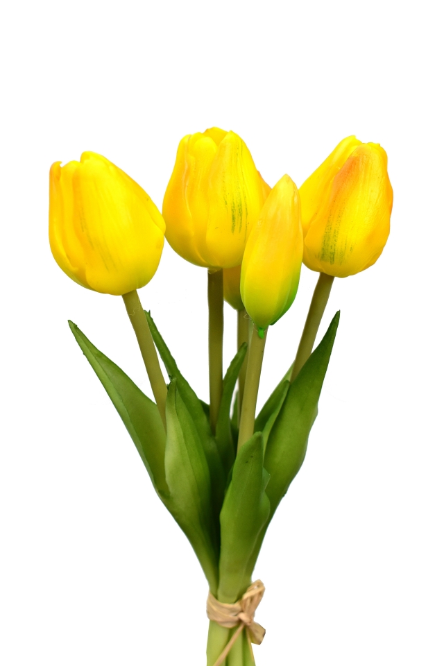Kytice 5 tulipánů žlutá 21,5 cm