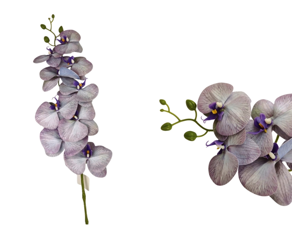 Orchidej Phalaenopsis 90 cm, fialová