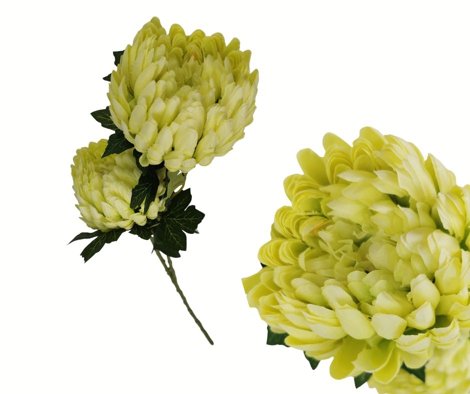 Chryzantéma žlutá 70 cm