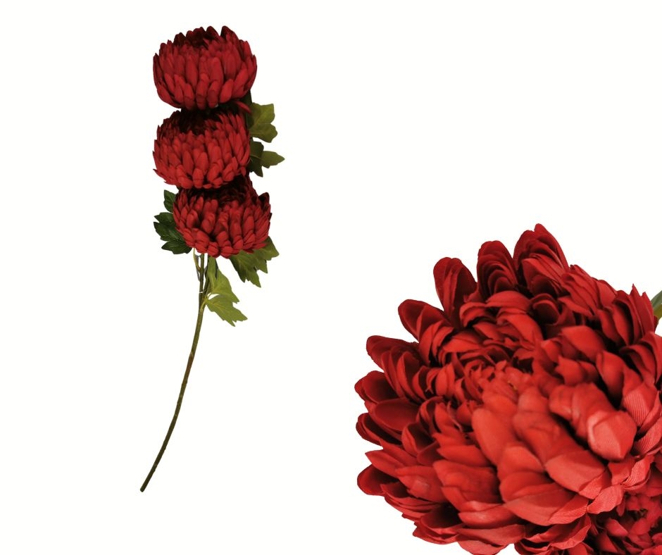 Chryzantéma bordo 87 cm