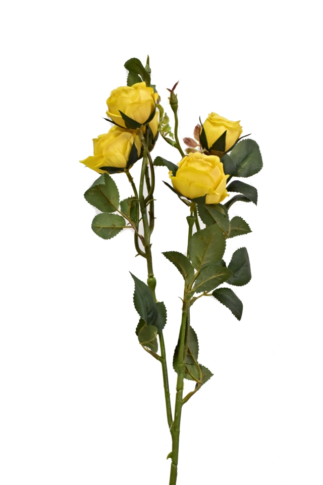 Růže 67 cm, žlutá