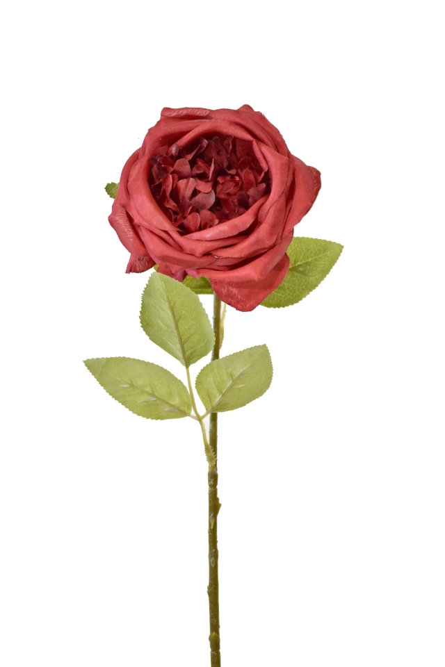 Umělá anglická růže červená, 50 cm